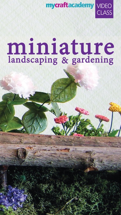 Miniature Landscaping & Gardening
