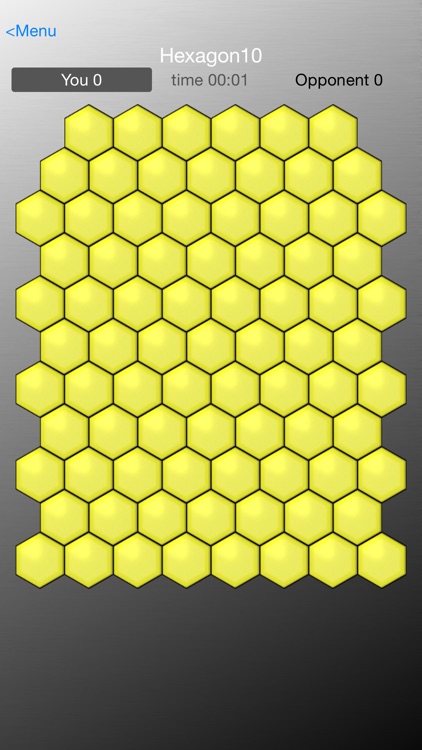 Hexagon10