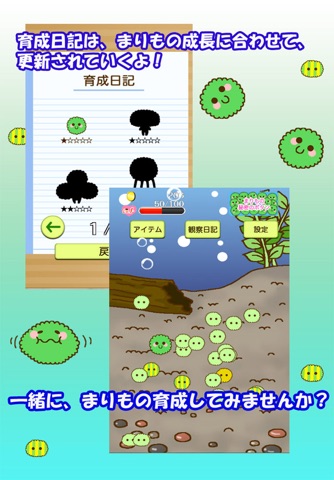 かわいい育成ゲーム　まりまりも育成日記 screenshot 3