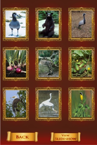 Wildlife Album screenshot 3
