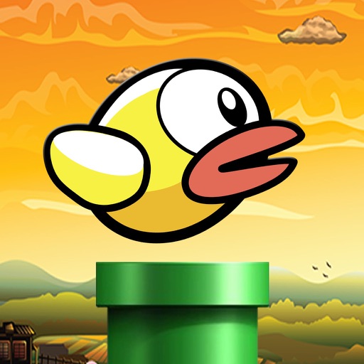 Bird Drop Pro : Happy Summer icon