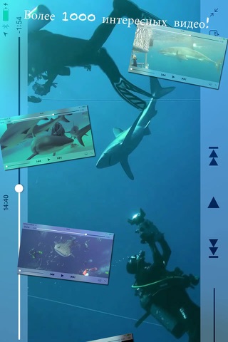 Shark Diving screenshot 2
