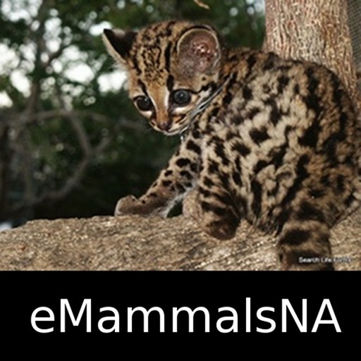 Mammals of North, Central & South America - A Mammal App iOS App