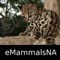 Mammals of North America, Central America & South America - A Mammal App is a member of the World Life Forms family of products dedicated to providing easy to use, powerful reference and discovery tools for the animal and plant kingdoms