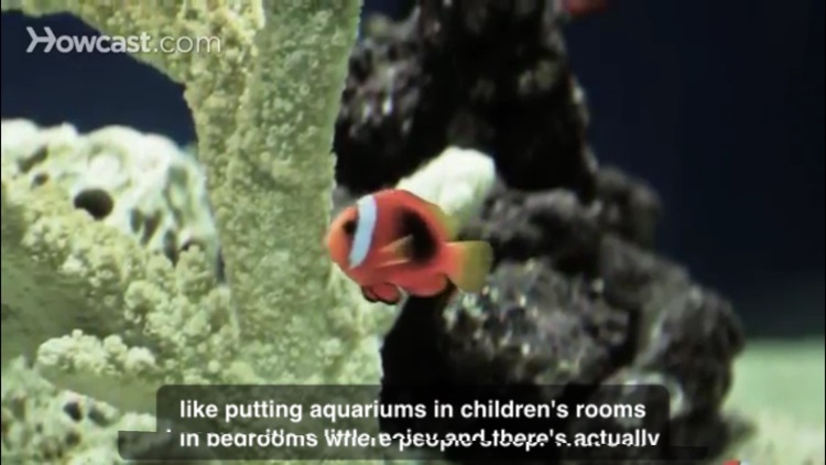 Aquarium Care screenshot-3