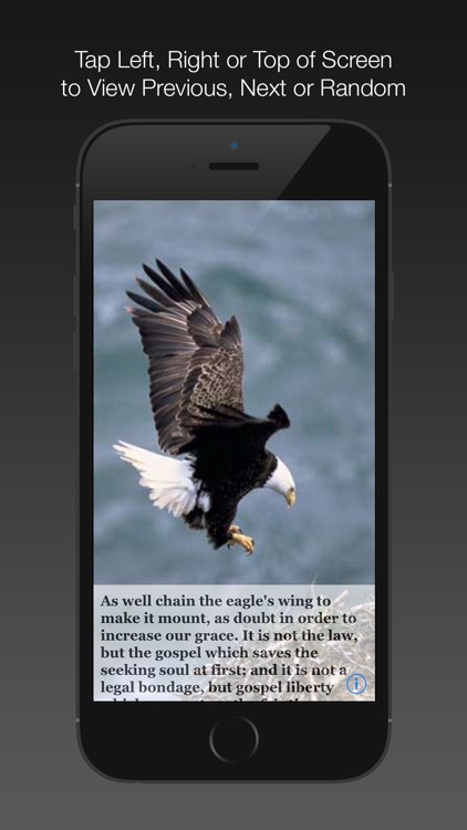 Spurgeon Daily Quotes screenshot-4