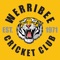 "The club played its first two seasons in the VJCA, enjoying success, and after joining the Victorian Sub District Cricket Association (VSDCA) in 1973, we have played in this competition for 39 years