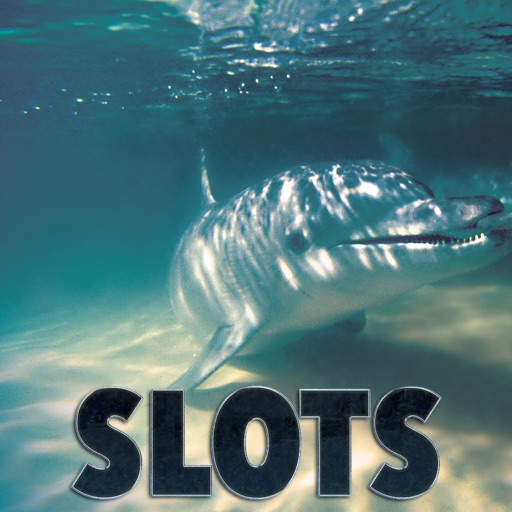 Southern Smooth Dolphin Slots - FREE Las Vegas Game Premium Edition