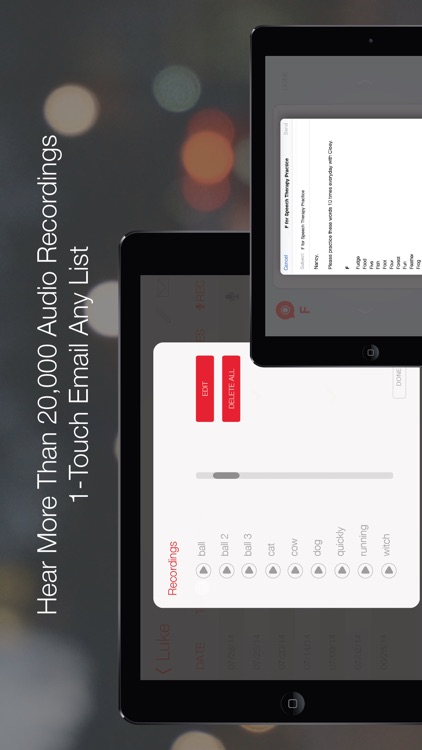Word Vault Pro screenshot-4