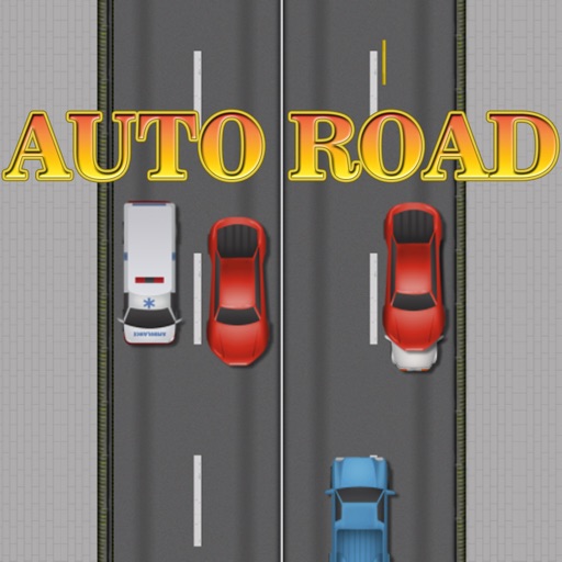 Sense Of Traffic - Auto Road iOS App