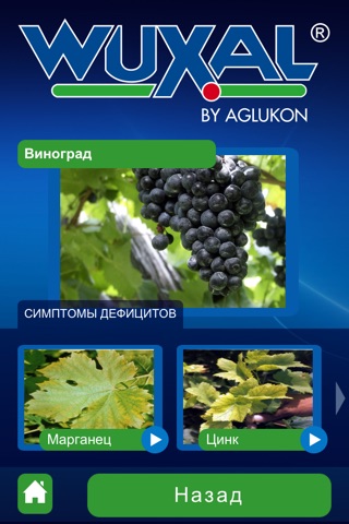 ВУКСАЛ screenshot 3