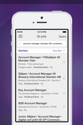 Monster.com Job Search screenshot 2