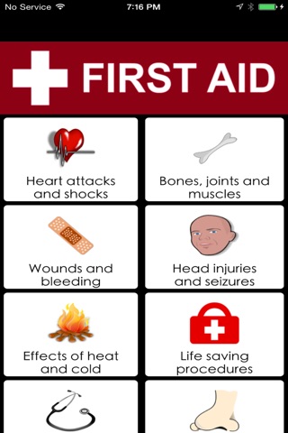 First Aid Offline screenshot 2