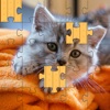 Jigsaw Puzzles - Animal Lovers Edition