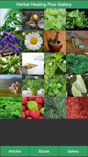 Herbal Healing Plus - A Guide To Treat Your Illnesses With H(圖2)-速報App