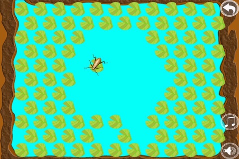 Cricket Jump - Keep The Grasshopper In The Pond screenshot 4