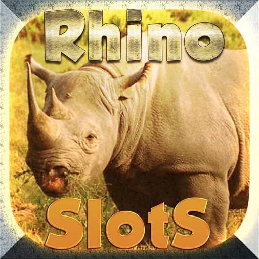 Rhinoceros chasing safari truck