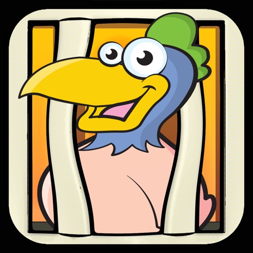 Roto Birds iOS App