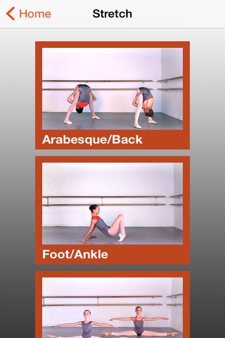 Ballet Elasticity screenshot 4