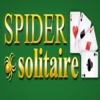 Spider Solitaire Double Fun Adventure