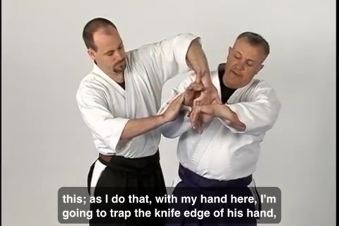 Aikido Fighting screenshot 4