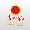 Tomato Sunshine