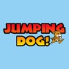 Jumping Dog !