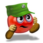 Captain Tomato  the Magic Gate