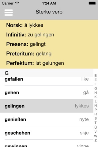 Tysk Grammatikk screenshot 3