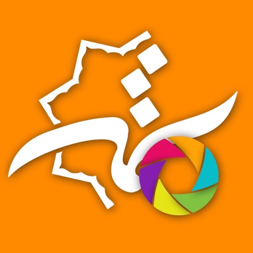 شمسه تیوب