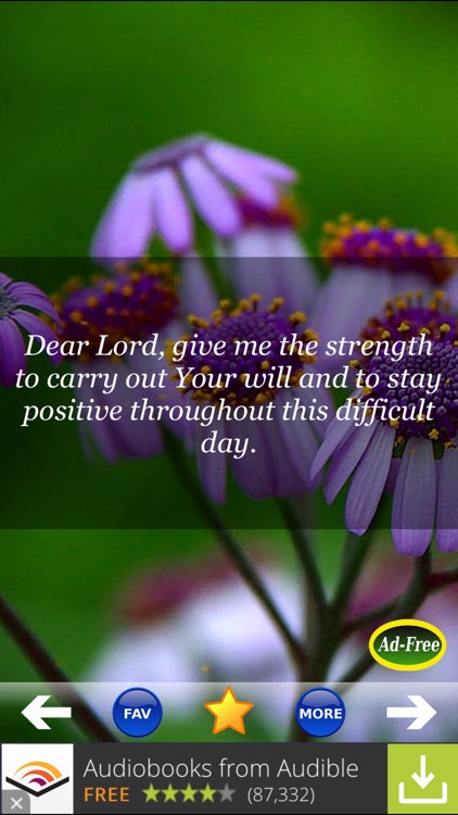 Best Daily Prayers & Devotionals FREE! Pray to Jesus for Blessings of Christian and Catholic Men & Women!