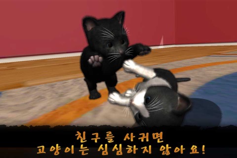 Daily Kitten 데일리키튼 귀여운 아기 고양이 screenshot 4