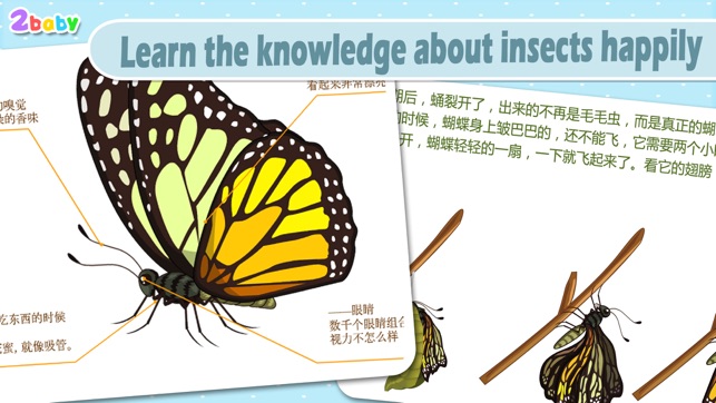 Butterfly - InsectWorld A story book about insects for child(圖4)-速報App