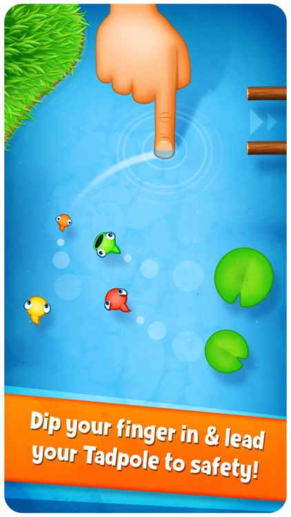 Tasty Tadpoles - Fun puzzle action for the whole family