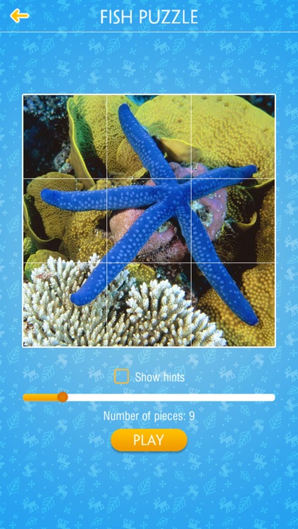Fish Jigsaw Puzzles screenshot-3