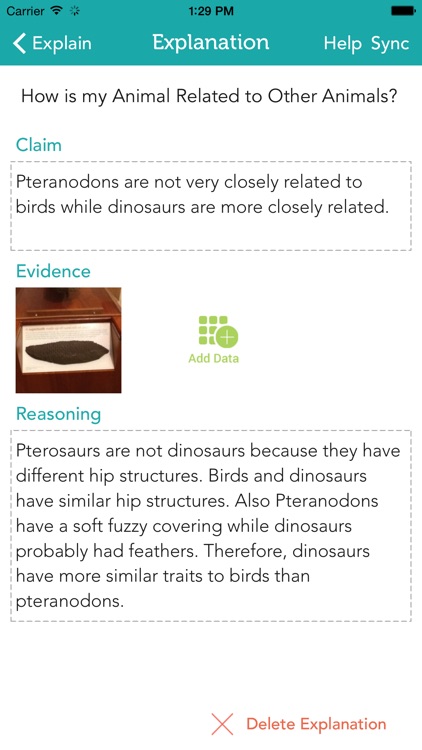 Zydeco Inquiry screenshot-4