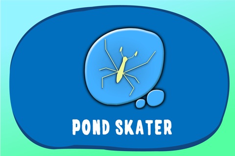 Pond Skater screenshot 2