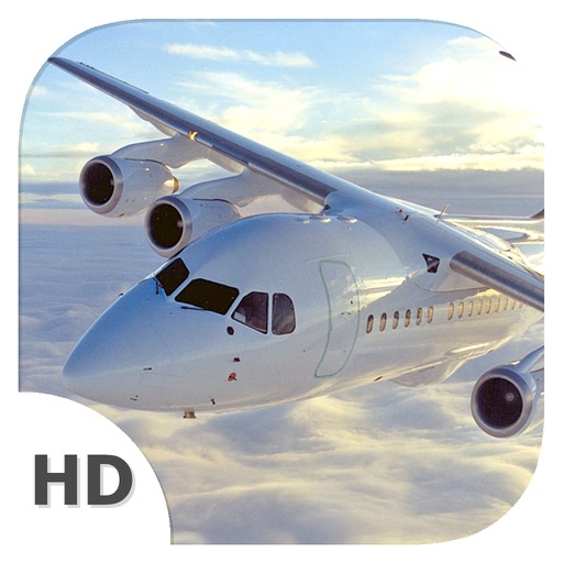 Flight Simulator (Airliner BAE146 Edition) - Become Airplane Pilot icon