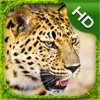 Leopard Simulator - HD