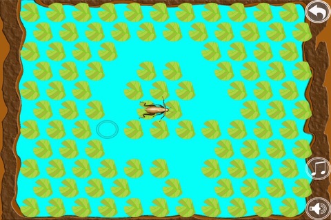 Cricket Jump - Keep The Grasshopper In The Pond screenshot 3