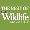 Best of BBC Wildlife Magazine
