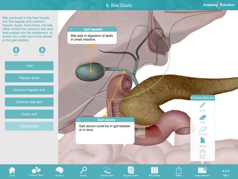 Sanofi Janssen Anatomy & Function screenshot 4