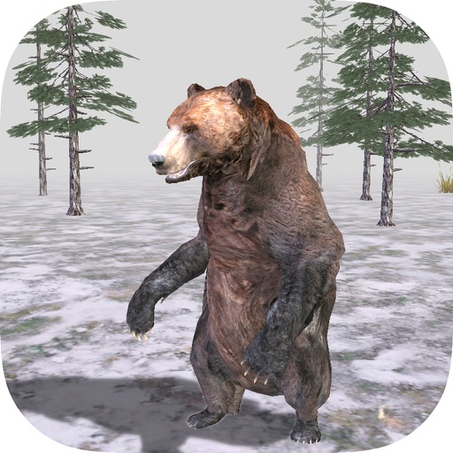 Bear Forest 3D Simulator Pro