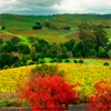 Bothe-Napa Valley State Park wallpapers