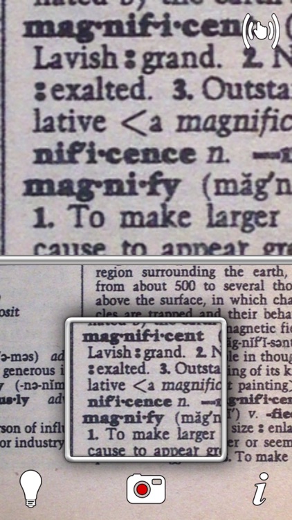 Magnificent-Magnifying Glass and Flashlight