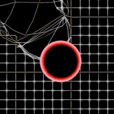 Activities of Neon ZigZag