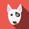 Dog Breed Quiz - Trivia For Guessing The Dog Game