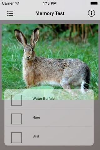 Animals - Pocket Zoo screenshot 2