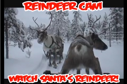 ReindeerCam - Watch Santa's Reindeer & More! screenshot 3