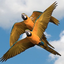 Parrots Encyclopedia Apple Watch App